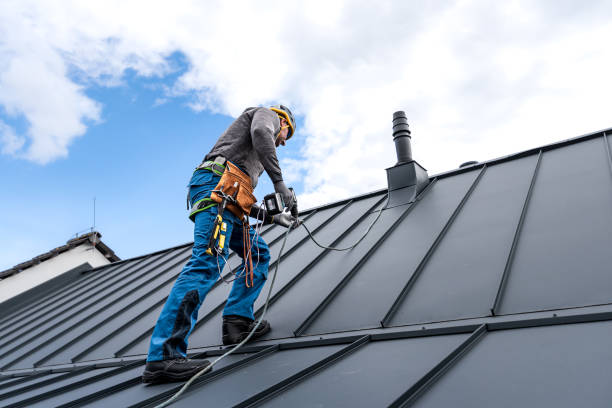 Best Roof Moss and Algae Removal  in Dale City, VA